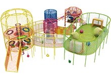 Rainbow Net