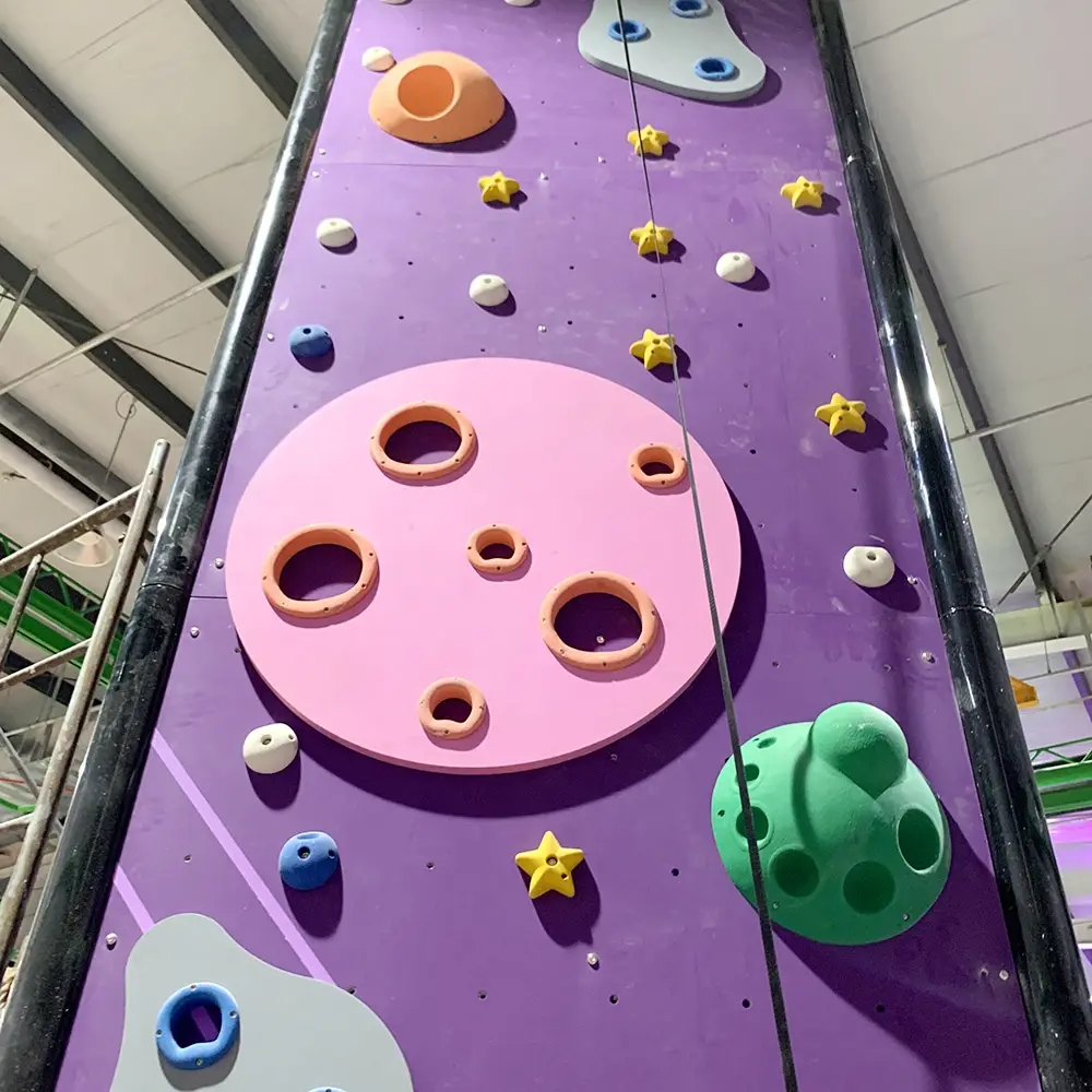 Interactive Electronic Climbing System