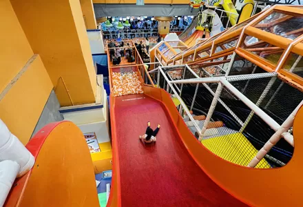 Carnival of Slides