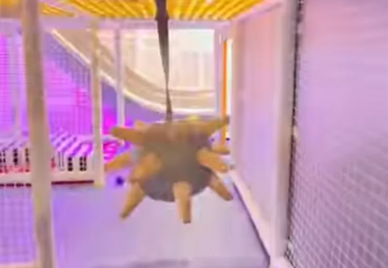 Hand-Controlled Fruit Ninja Game | Interactive Arcade Experience