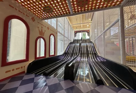 FRP Light Giant Slide