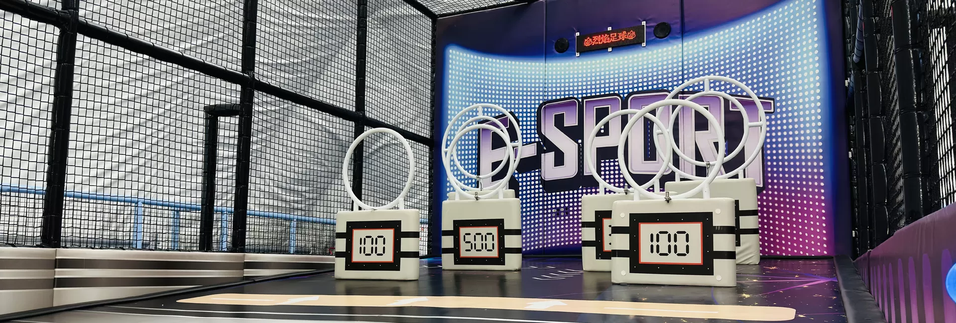 Interactive Sport Zone