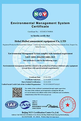 ngv ems certificate