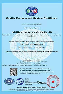 ngv qms certificate