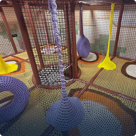 Rainbow Net