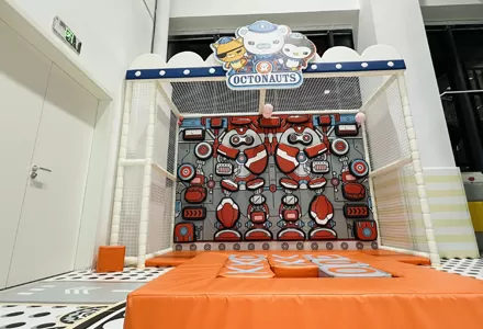 Robot Climbing Wall